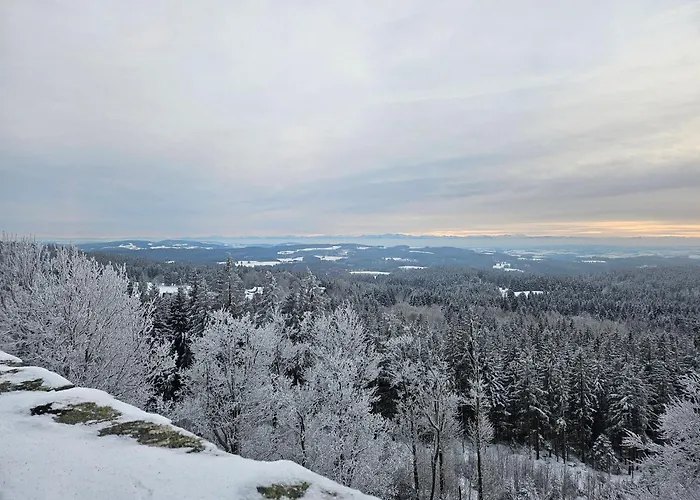 Apartmany Lipnoczech