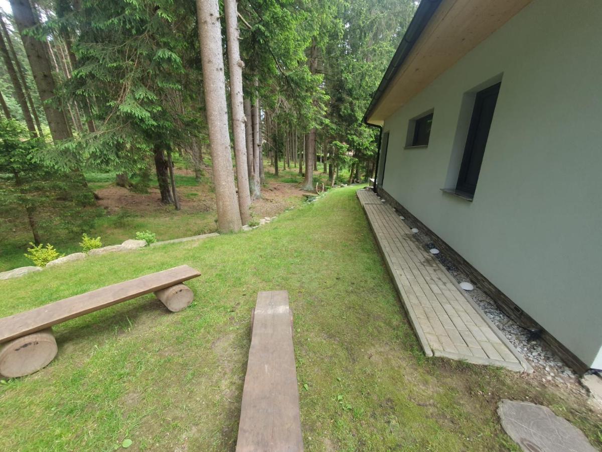 Lipnoczech Apartment