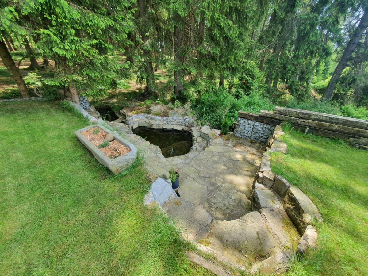 Apartment Lipnoczech