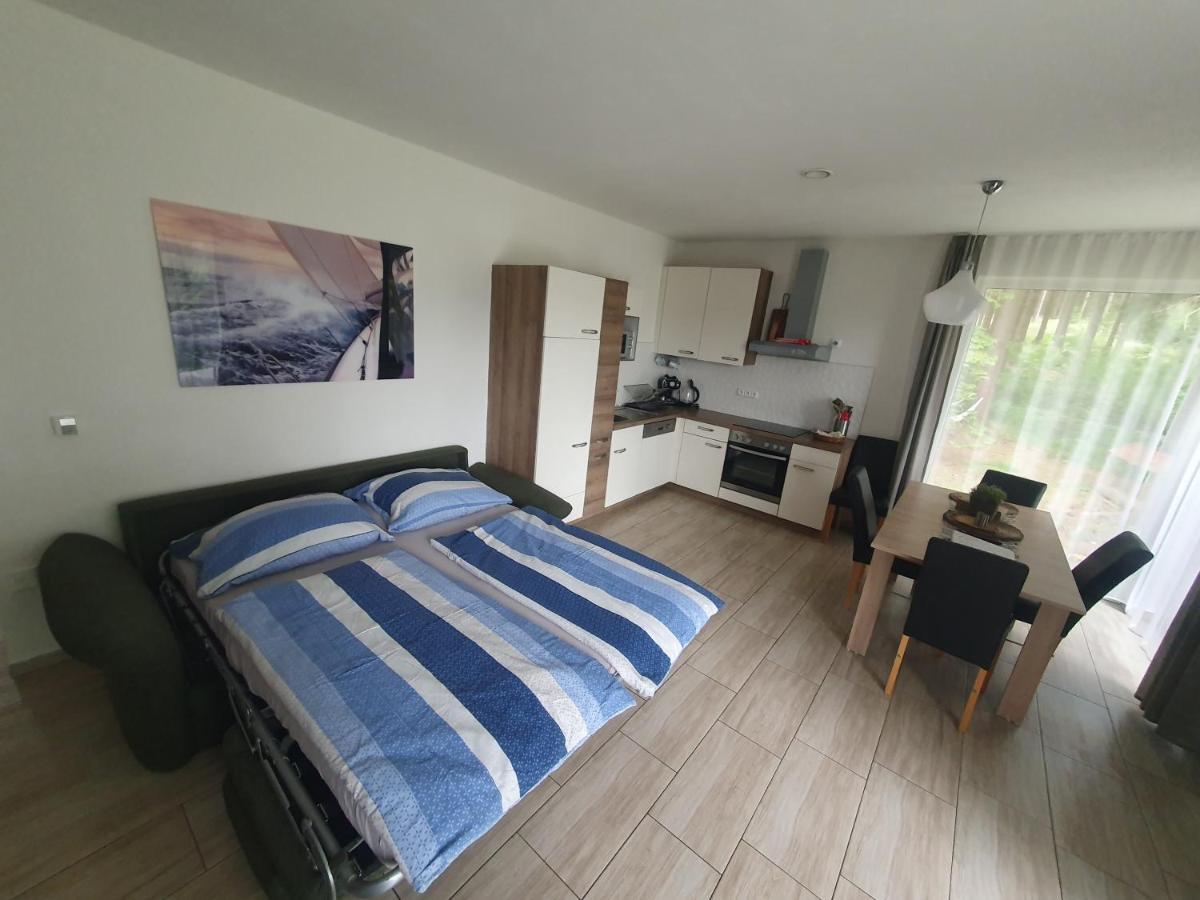 Apartmán Lipnoczech