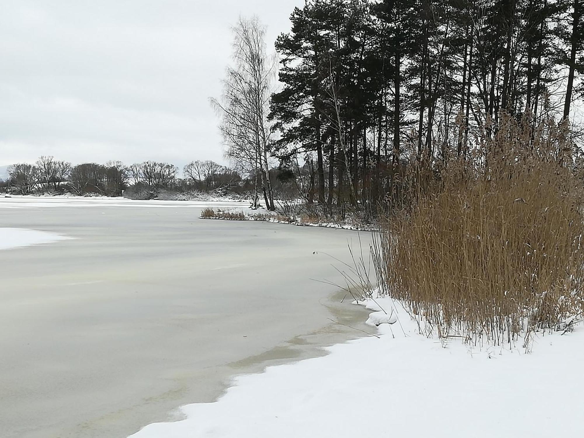Lipnoczech Apartment Frymburk
