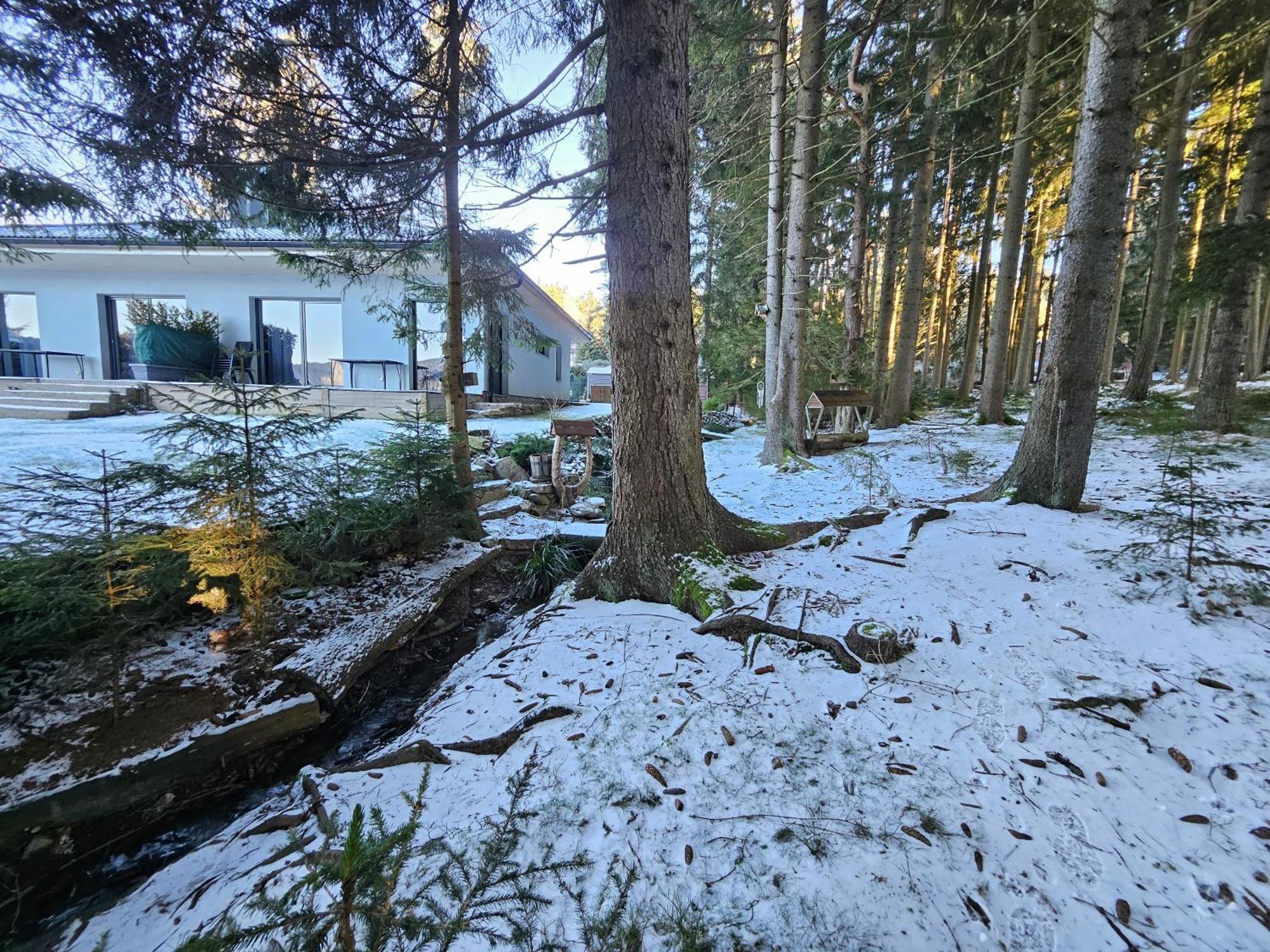 Lipnoczech Apartmán *