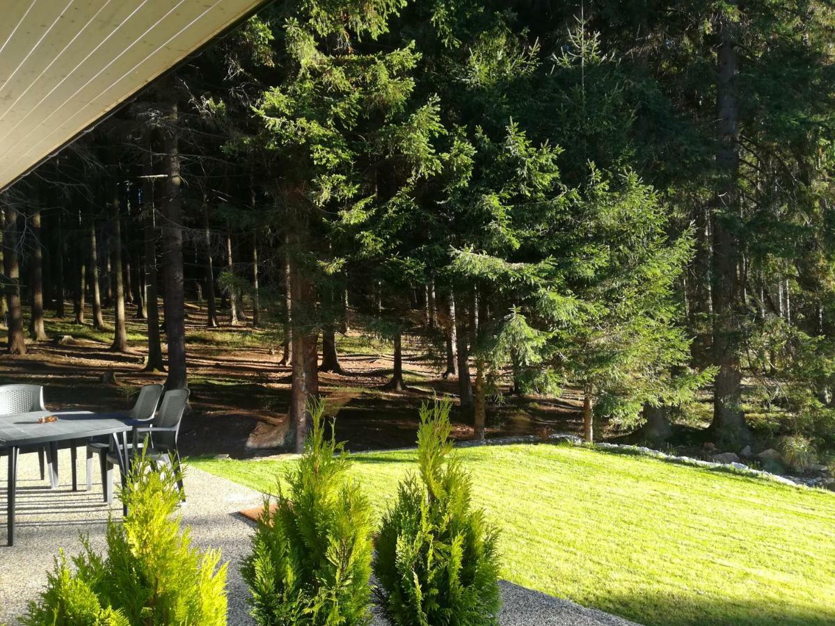 Lipnoczech Apartment Frymburk